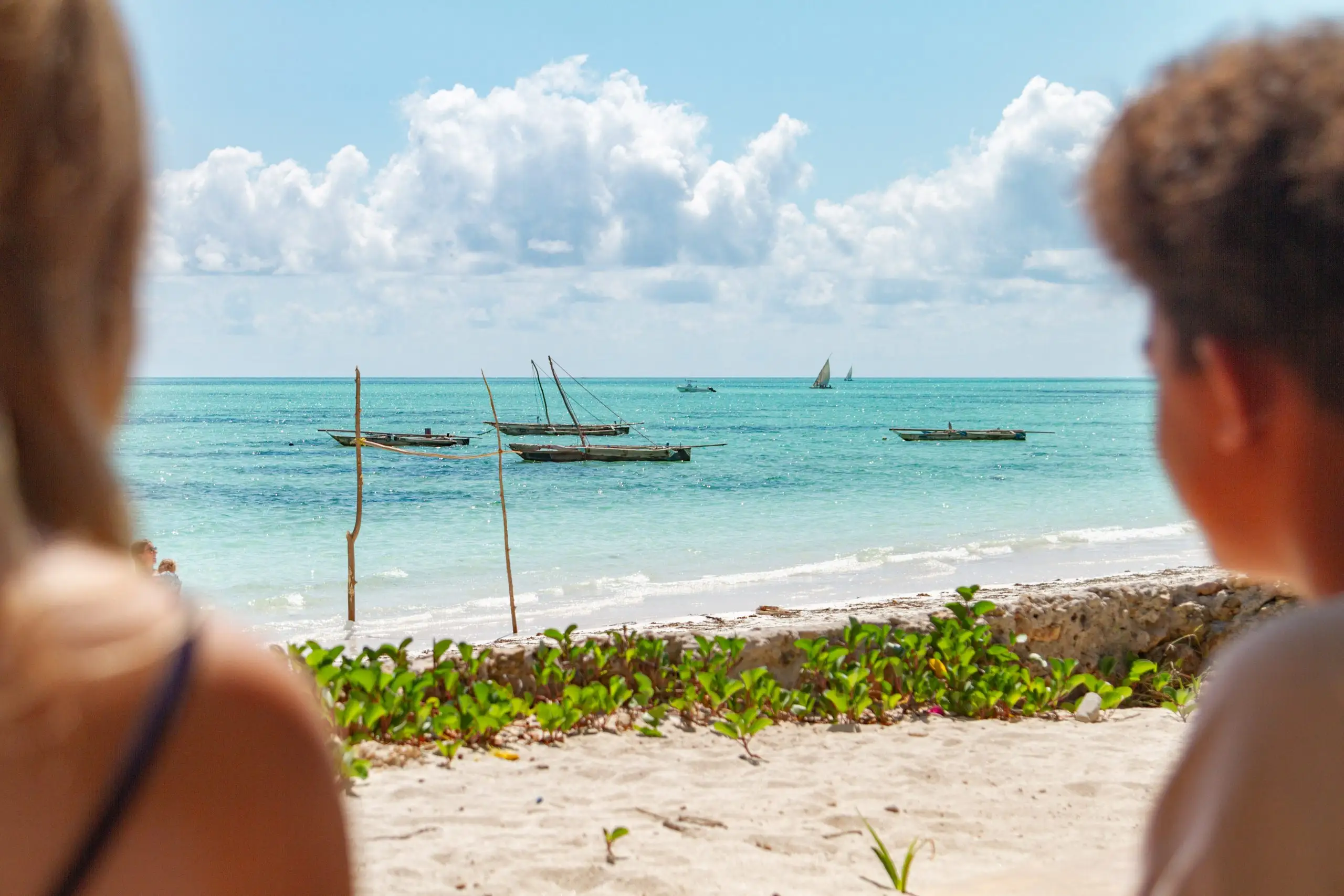 new teddy's guest sat looking out to the Indian Ocean and beach